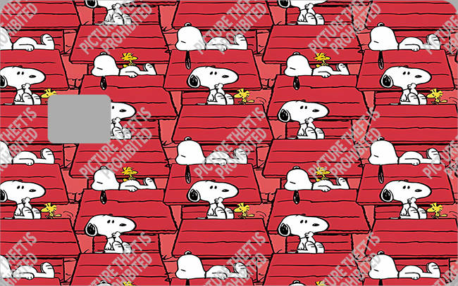 Bank  Card Sticker-BC-3990
